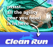 Clean Run Affiliate Link